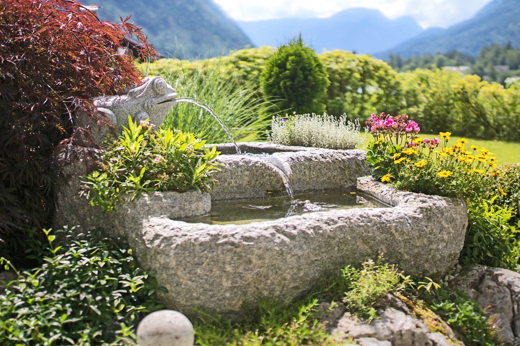 Aktivitäten in der Region